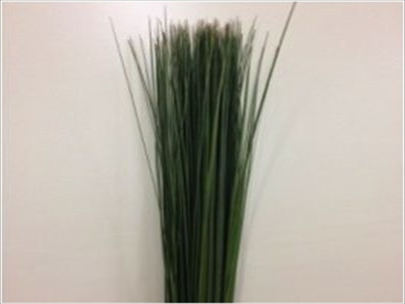 スチールグラス