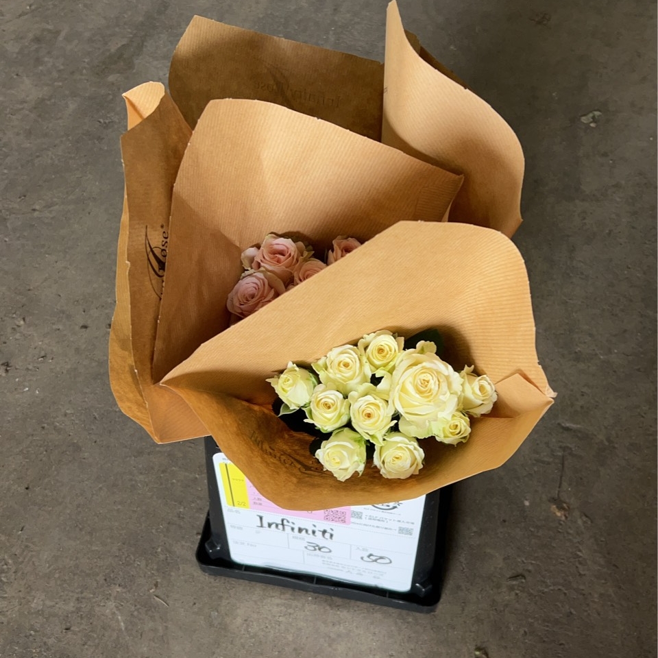 バラ