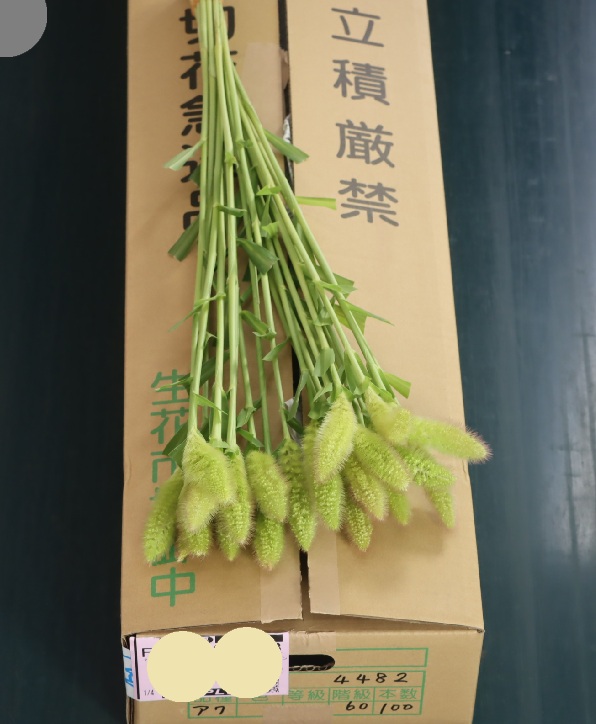 アワ