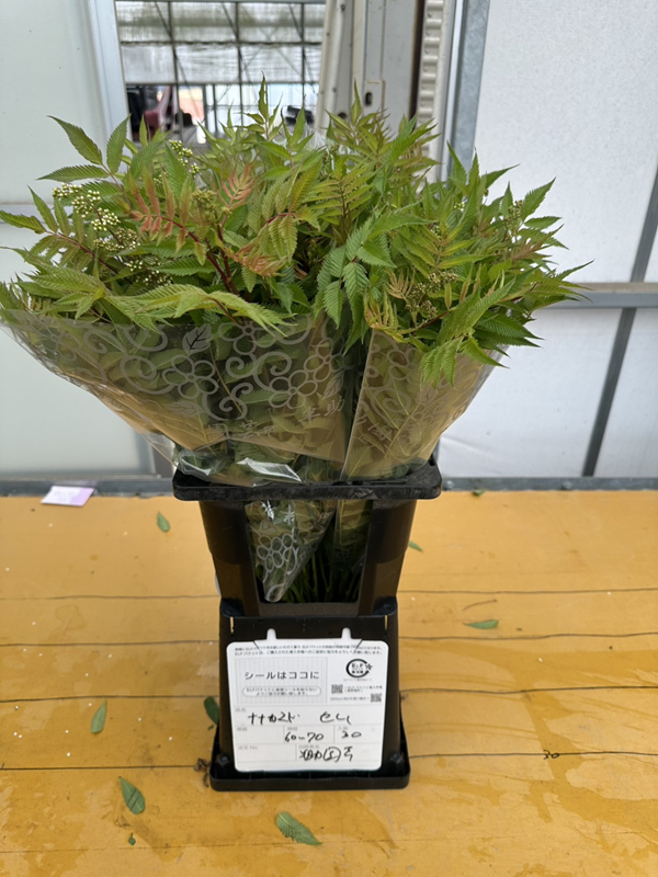 穂咲ななかまど“セム”