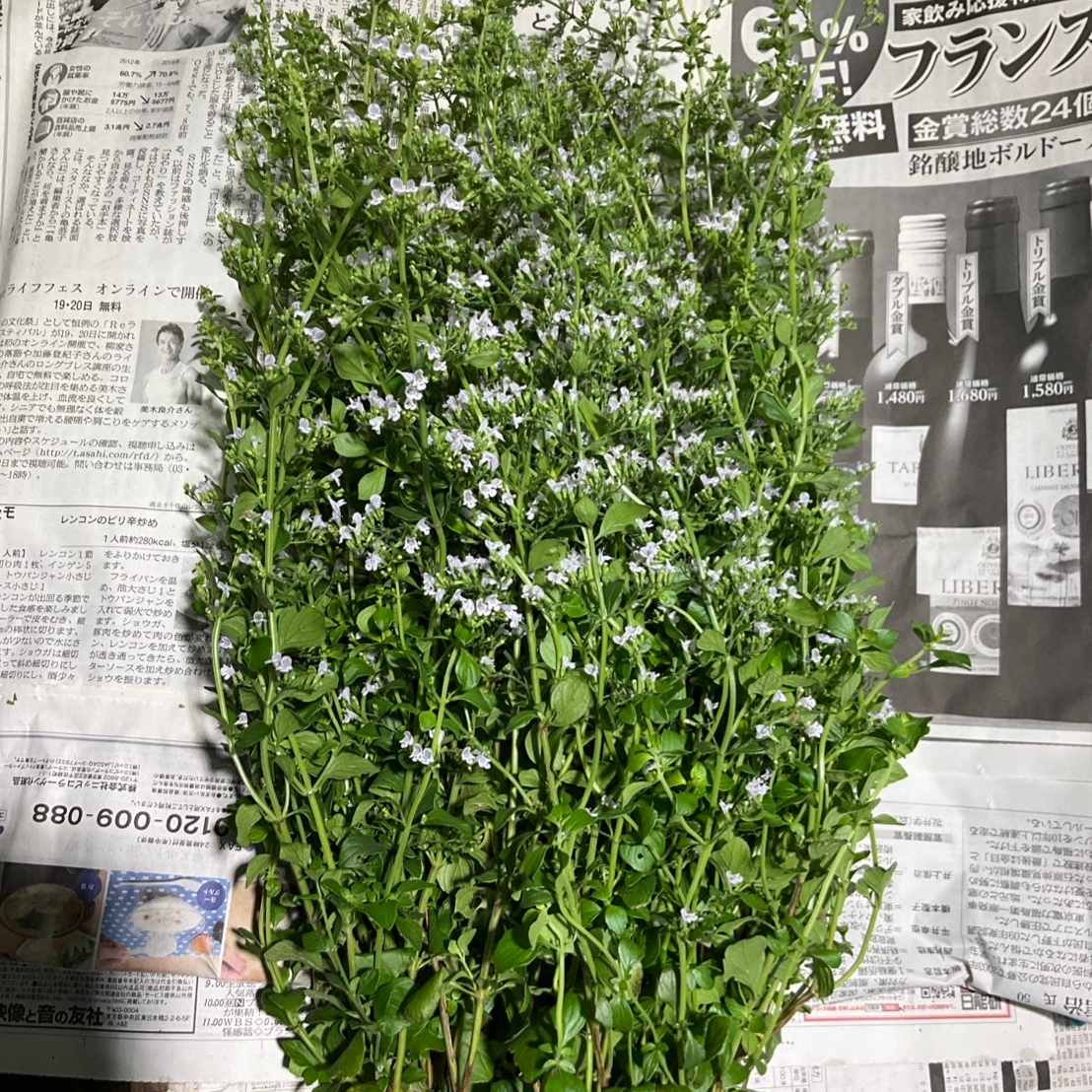 カラミンサ